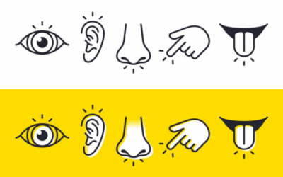 Autisme et perception sensorielle
