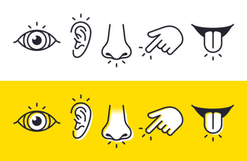 Autisme et perception sensorielle